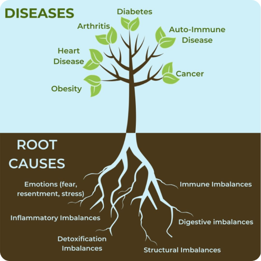 Diseases / Root Causes